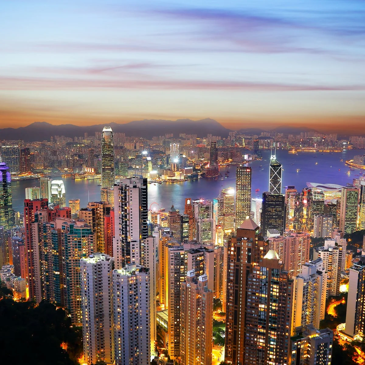 Hong Kong private tour with Victoria Harbour skyline and South China gateway planning